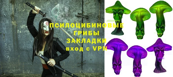 гидра Касимов