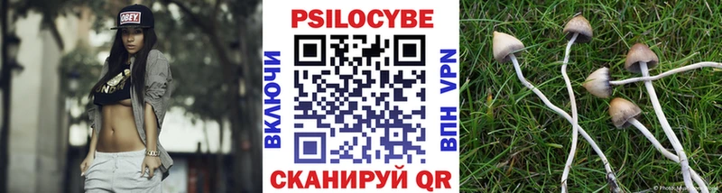 Псилоцибиновые грибы мицелий  Омск 
